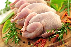 Hähnchen