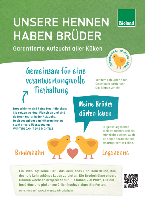 Bruderhahninitiative